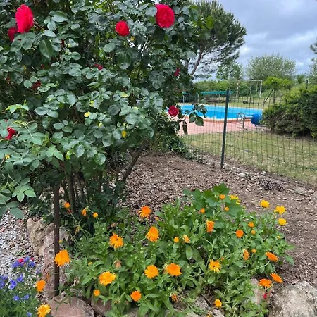 De Fontjalabert En Campagne Confort Lisle-sur-Tarn