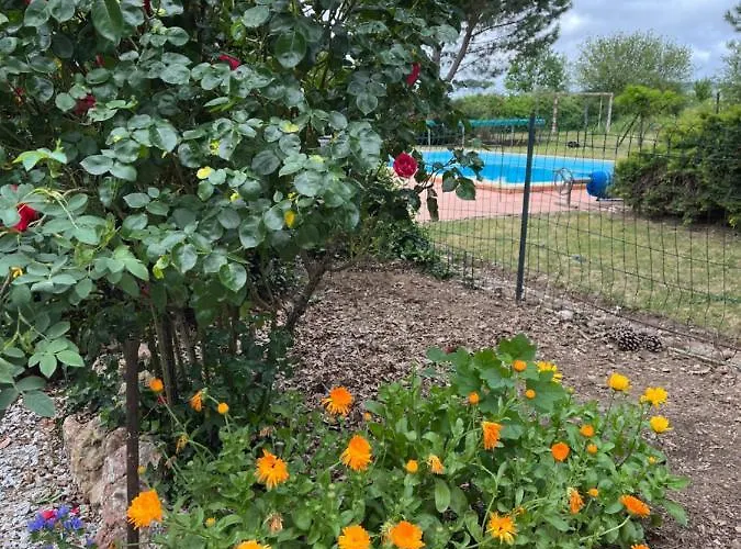 De Fontjalabert En Campagne Confort Lisle-sur-Tarn